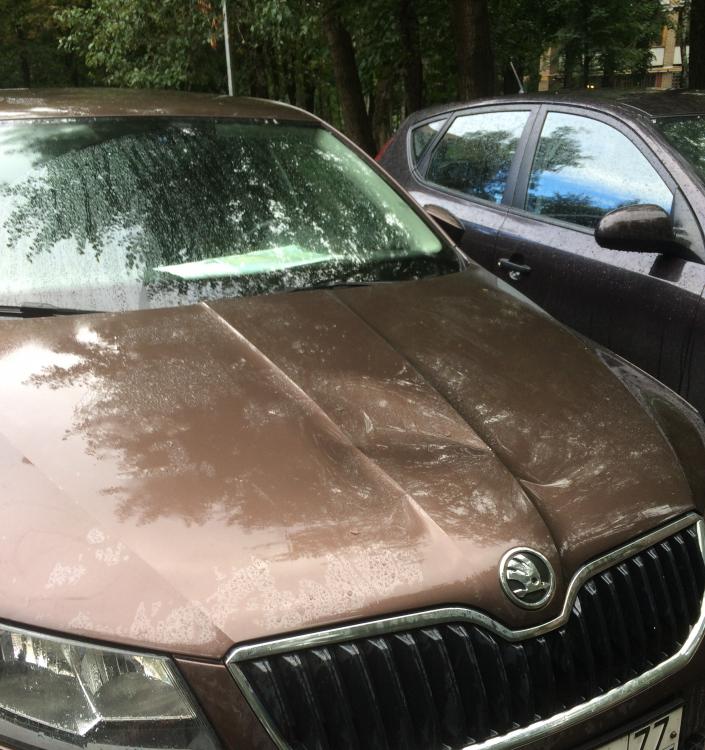 IMG_2898.thumb.JPG.fd1143f0d851dca1bda09