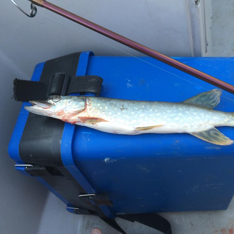 20150925085341.jpg