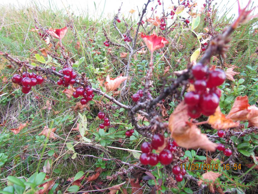 IMG_3458.JPG