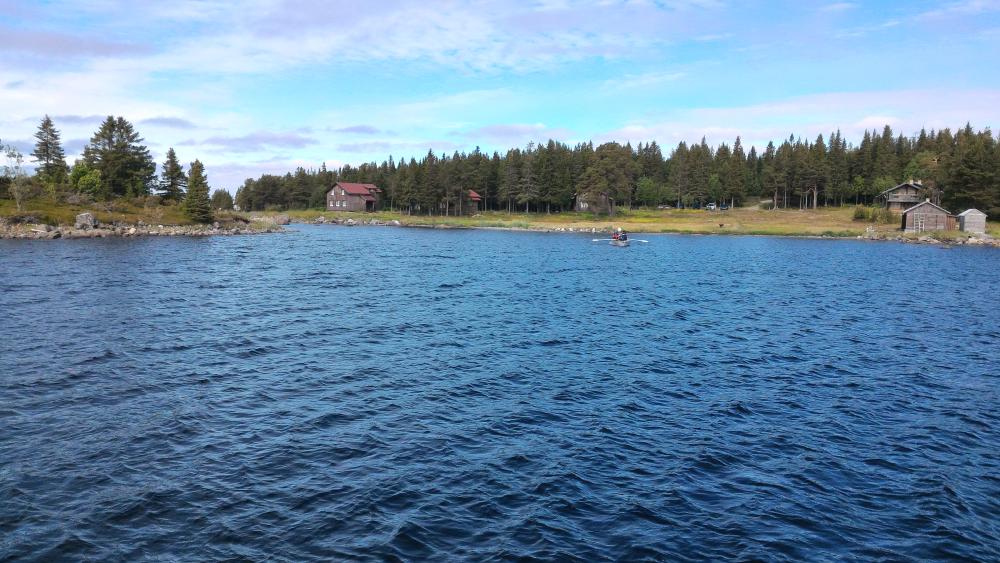 P_20150710_101313_HDR.jpg