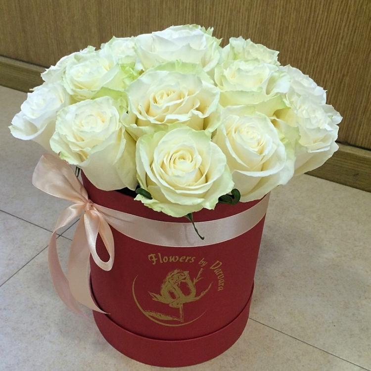 VK_Saved_Photo_ 636073176999126451.jpg