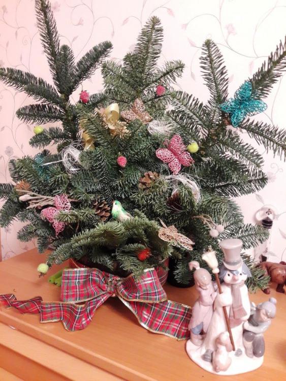 20171230_202110.jpg