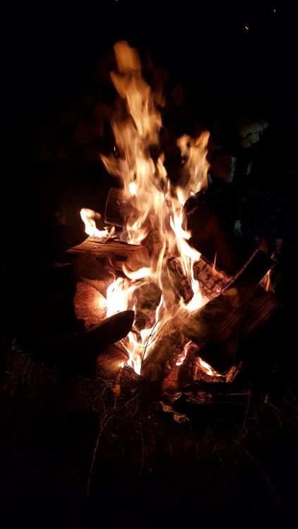 20180804_214913.jpg