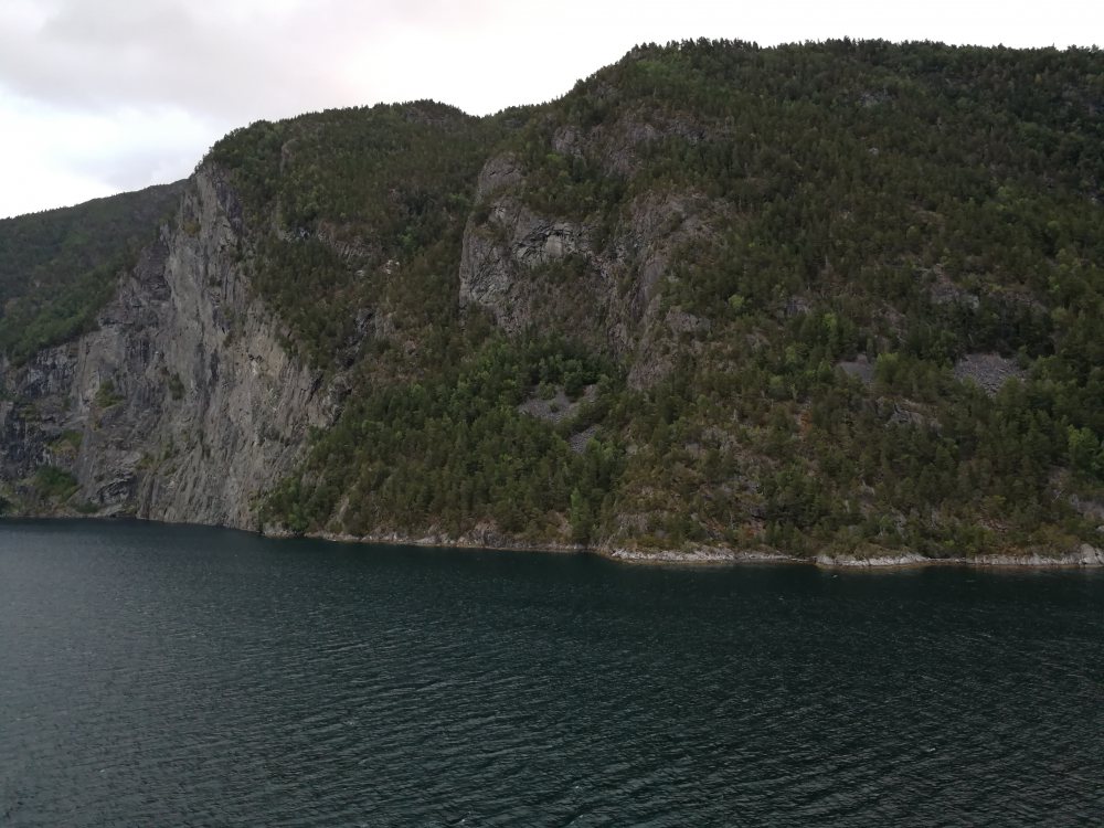 IMG_20180723_053952.jpg
